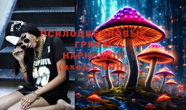 стаф Алексин