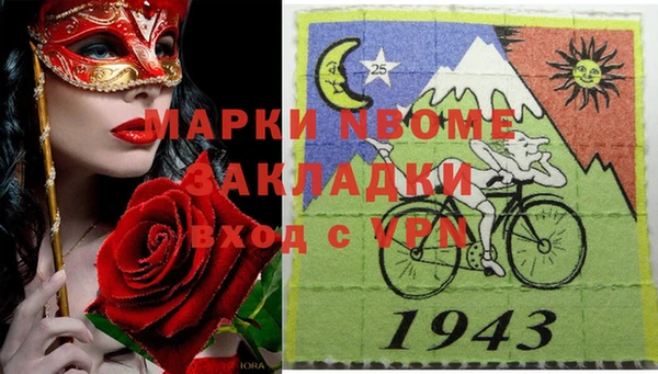 стаф Алексин