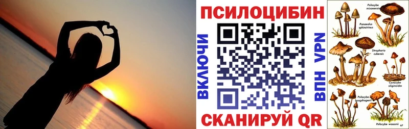 ОМГ ОМГ зеркало  Бавлы  Псилоцибиновые грибы мухоморы 